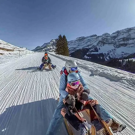 The Glacier מלון 4*