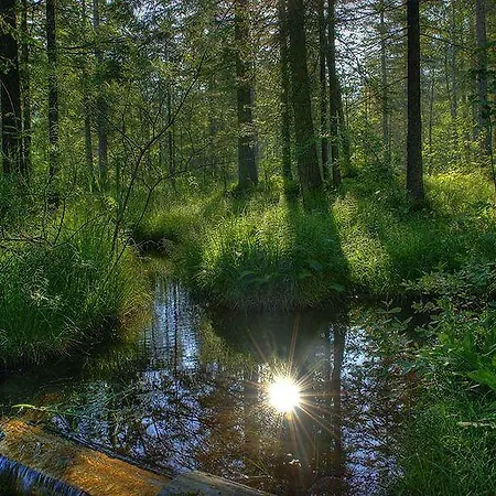 Hotel The Glacier Les Diablerets