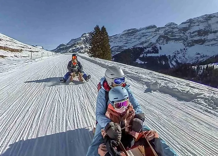 The Glacier Ξενοδοχείο 4*