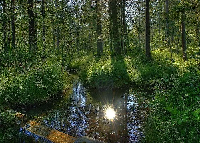 Hotel The Glacier Les Diablerets